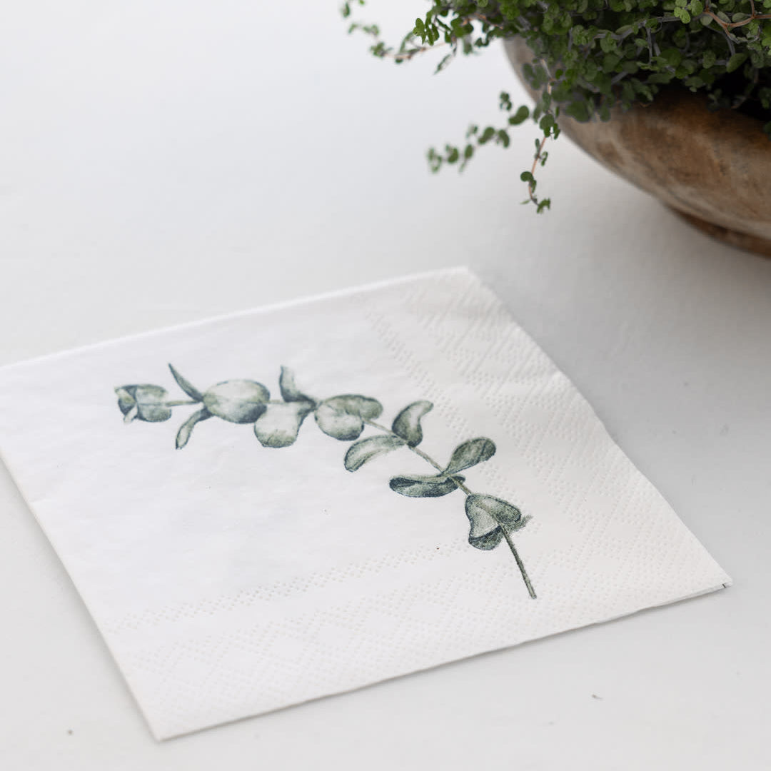 sögne serviett coctail  eucalyptus