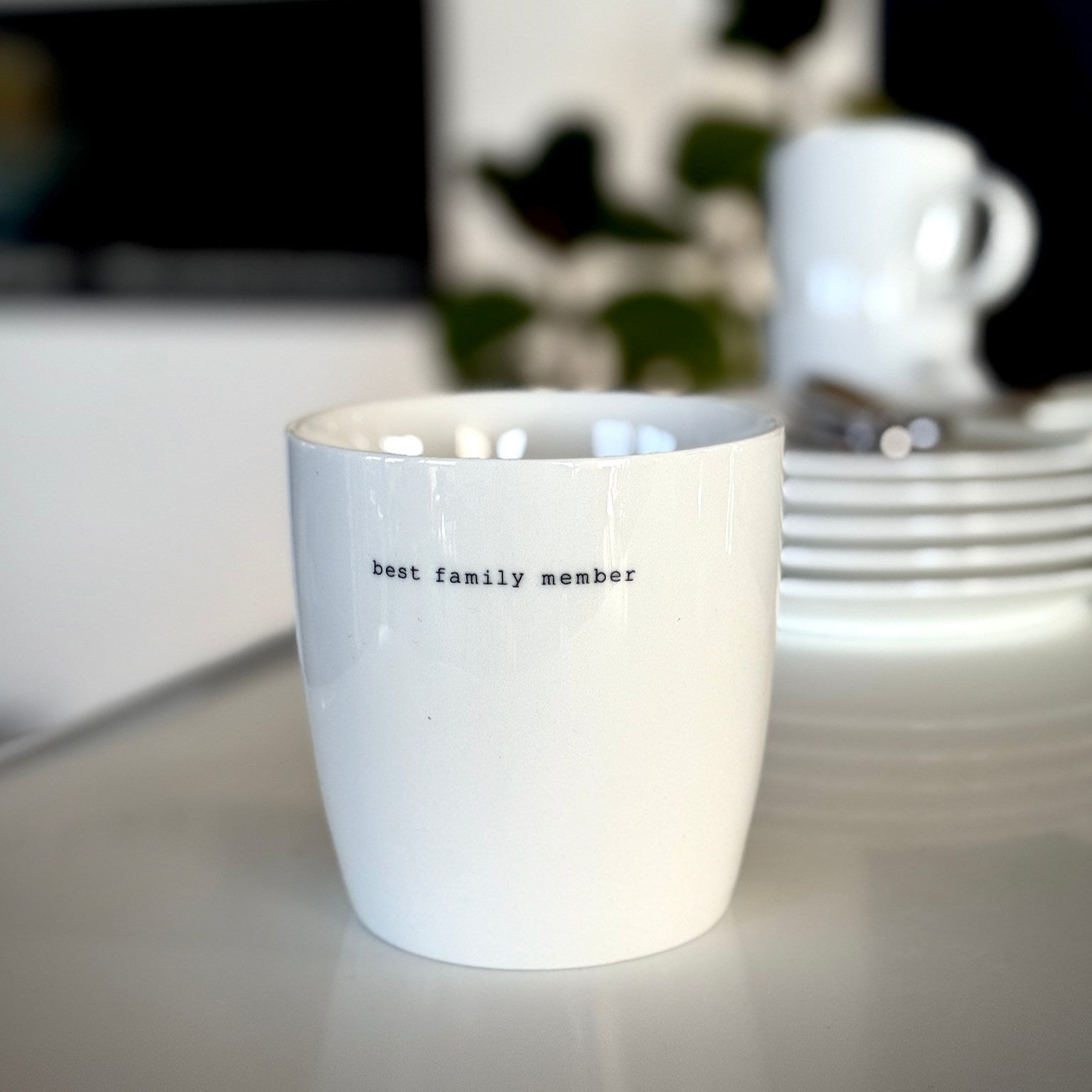 sögne mug white big best family member