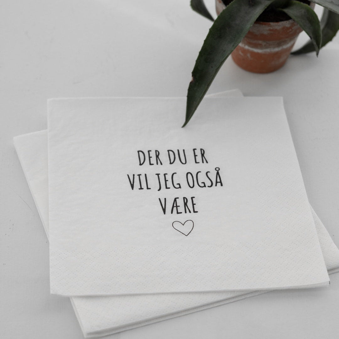sögne serviett lunch  der du er